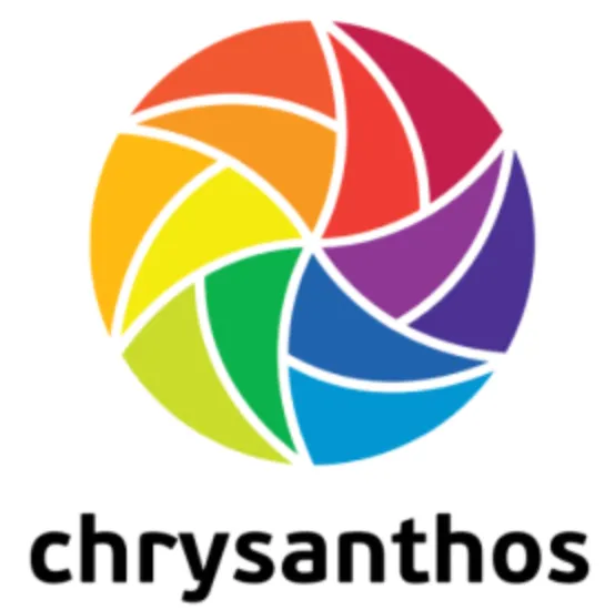 Chrysanthos Underglaze